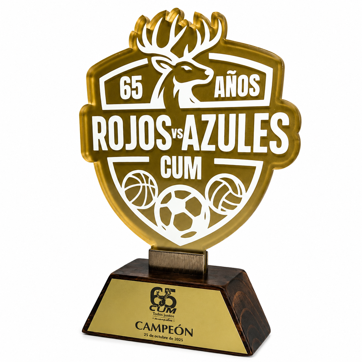 DEP400. Reconocimiento de Acrílico 9mm