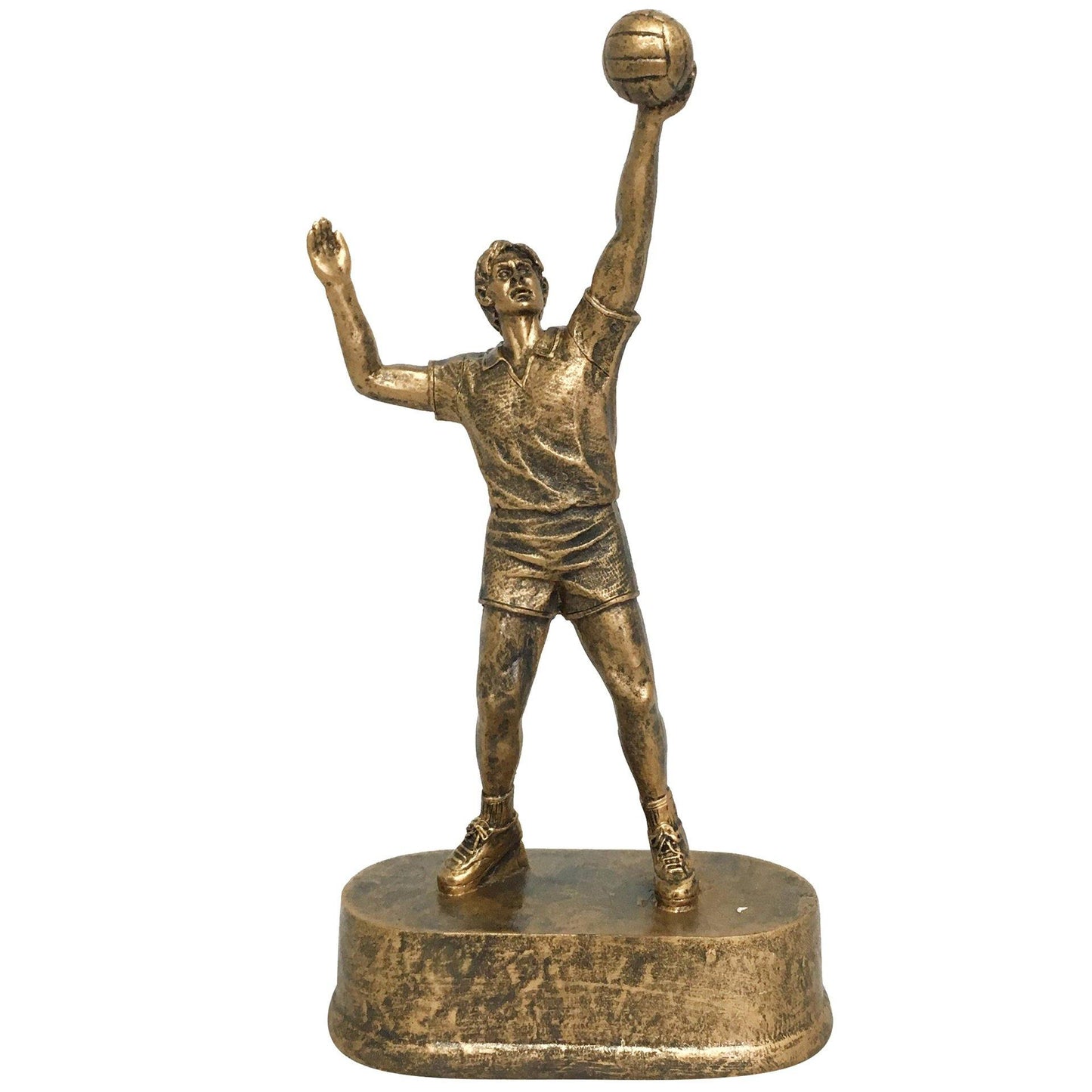 trofeo de voleibol el numero uno