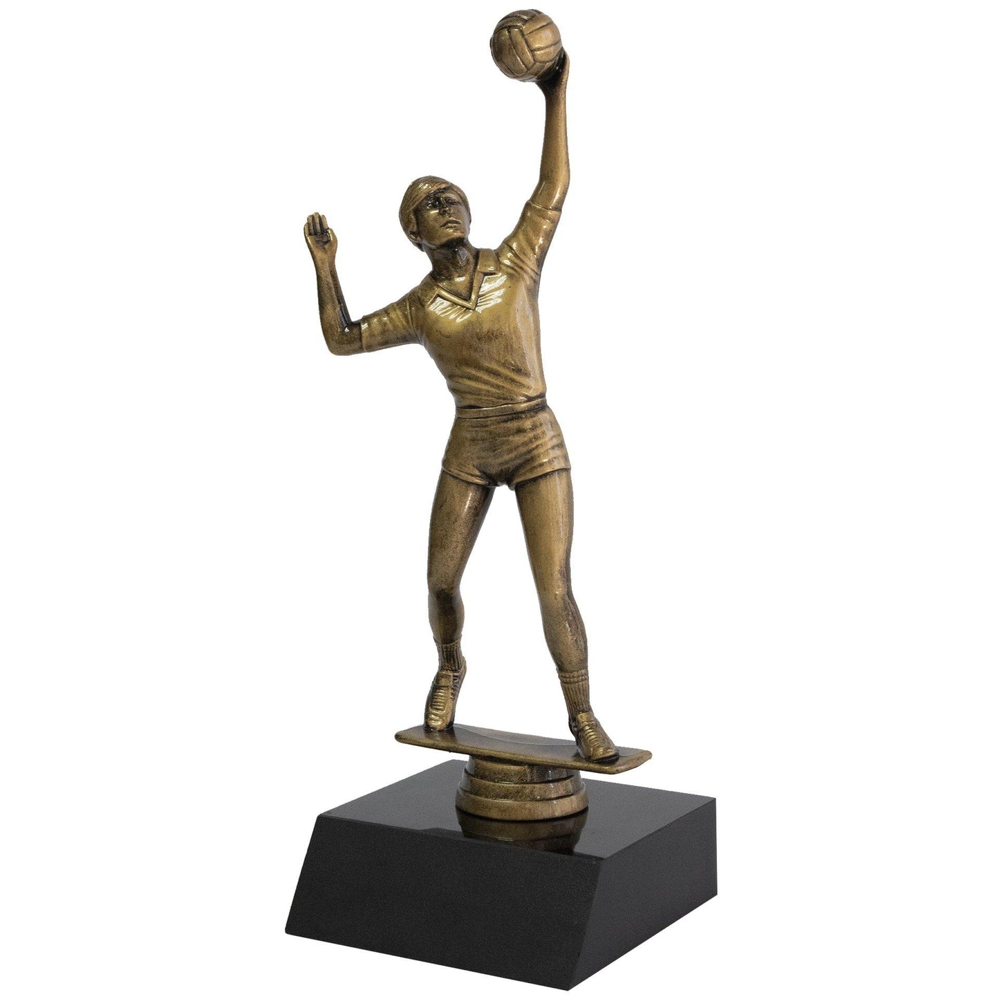 trofeo de voleibol