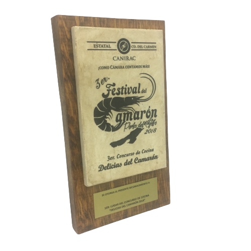 PES602. Trofeo de pared - El Número UNO