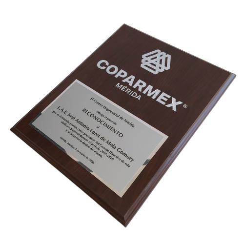 RPA500. Reconocimiento - El Número UNO