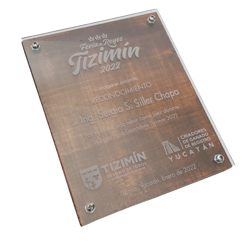 RPA221. Reconocimiento artesanal de pared