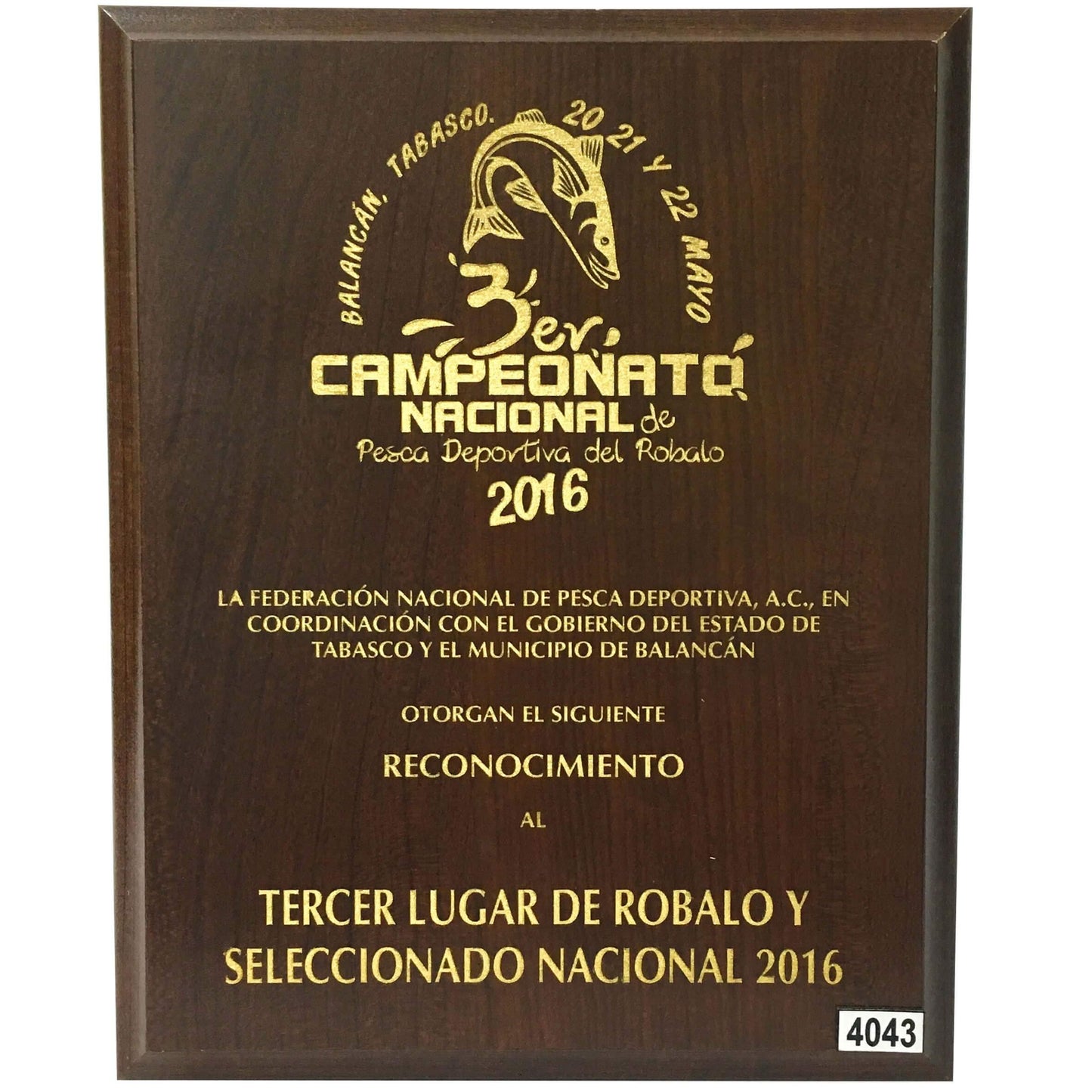 Trofeo RPA510. Reconocimiento-[product_type - El Número UNO