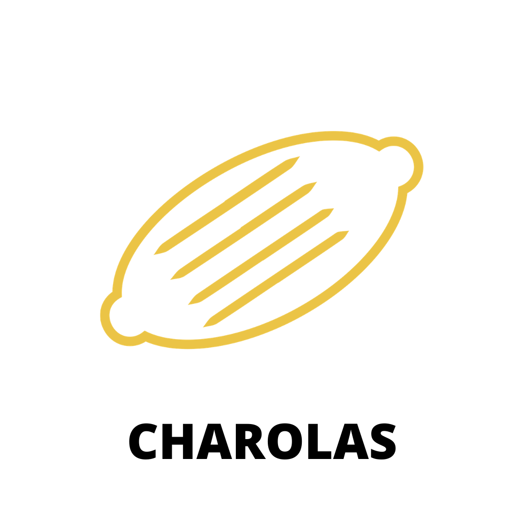 Charolas - El Número UNO