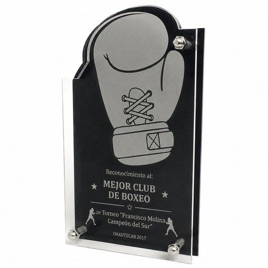 TBX216. Trofeos de Boxeo en acrílico.
