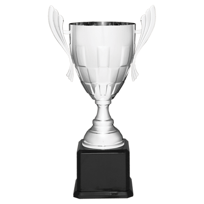 Silver Completed Metal Cup Trophy on Black Royal 22" Piano Finish Base