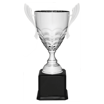 Silver Completed Metal Cup Trophy on Black Royal 21" Piano Finish Base