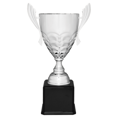 Silver Completed Metal Cup Trophy on Black Royal 25 1/4" Piano Finish Base