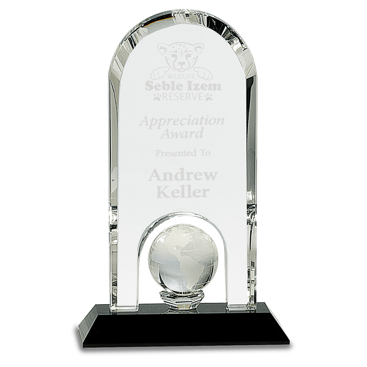 8 3/4" Clear Crystal Dome with Inset Globe on Black Pedestal Base