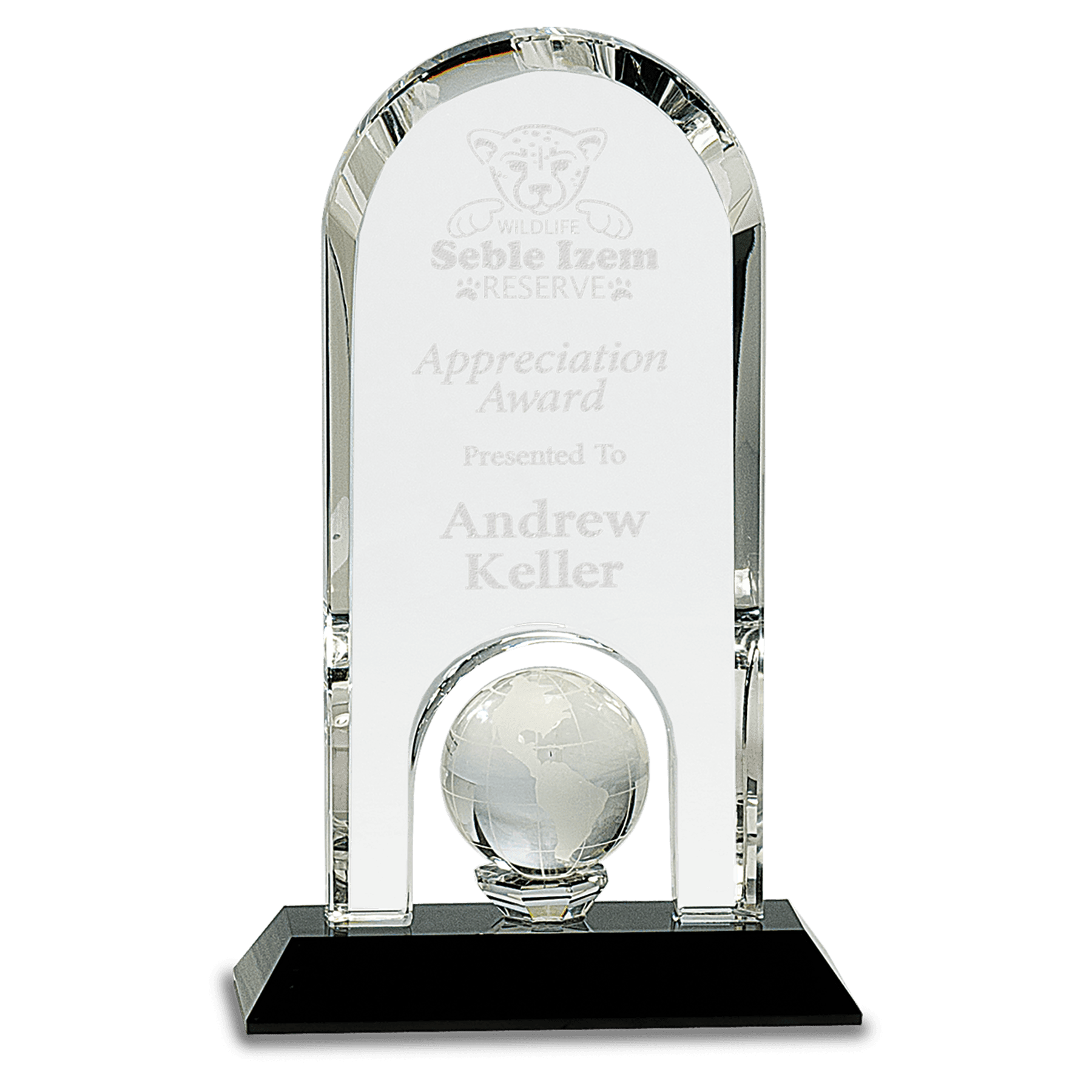 8 3/4" Clear Crystal Dome with Inset Globe on Black Pedestal Base