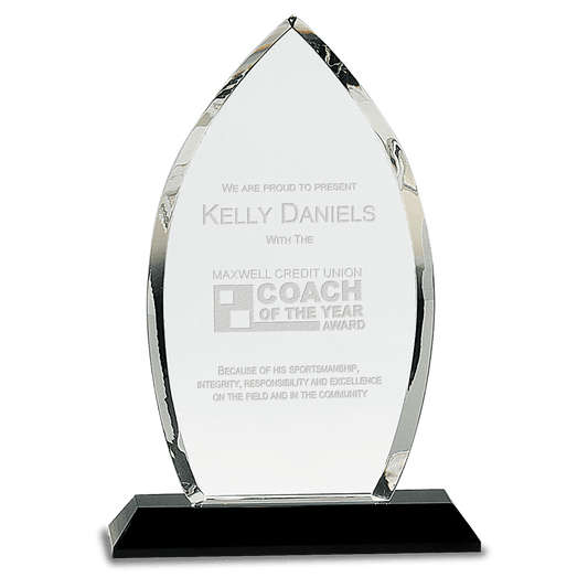 9 1/2" Clear Crystal Oval on Black Pedestal Base