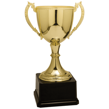 Gold 11" Completed Zinc Cup Trophy