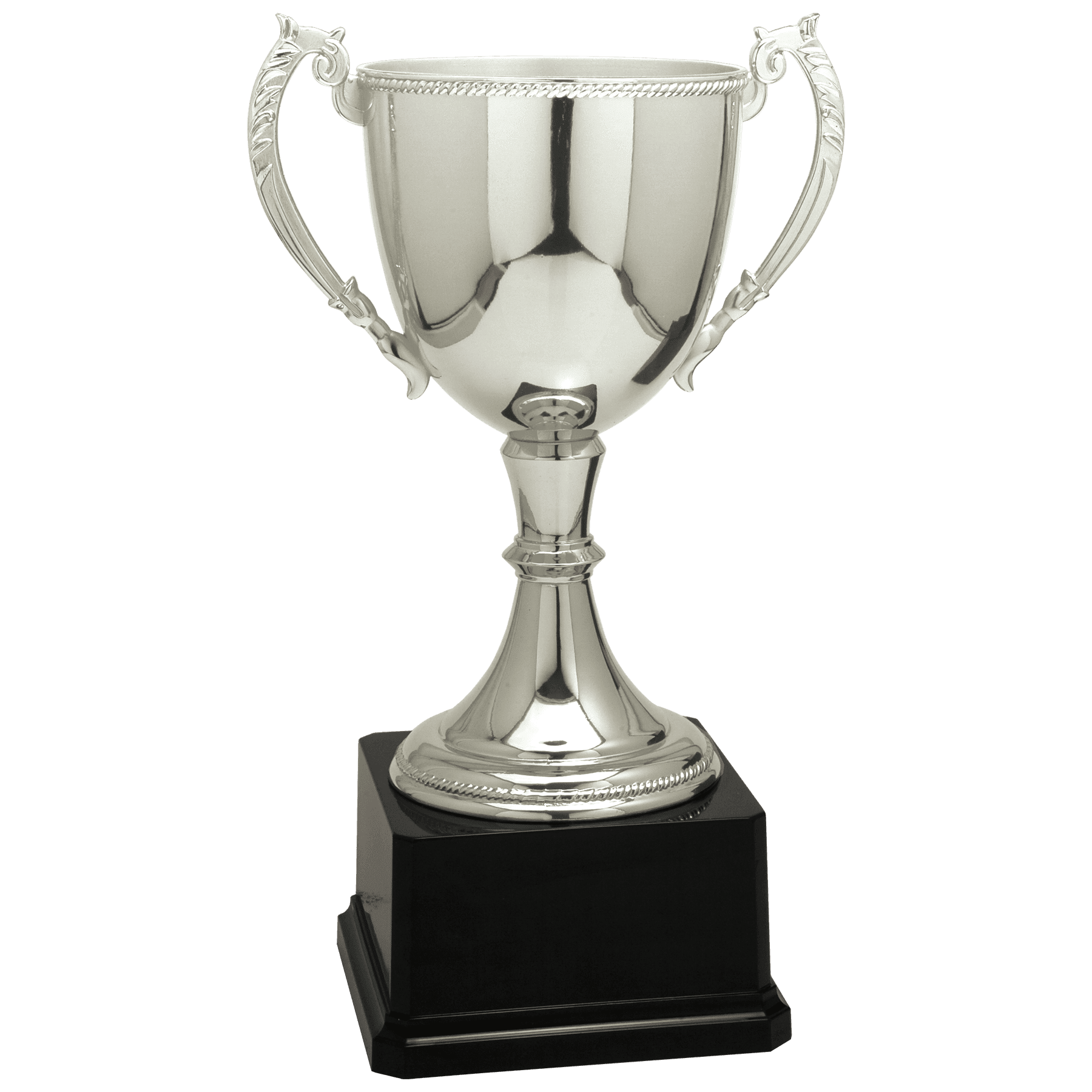 Silver 11" Completed Zinc Cup Trophy