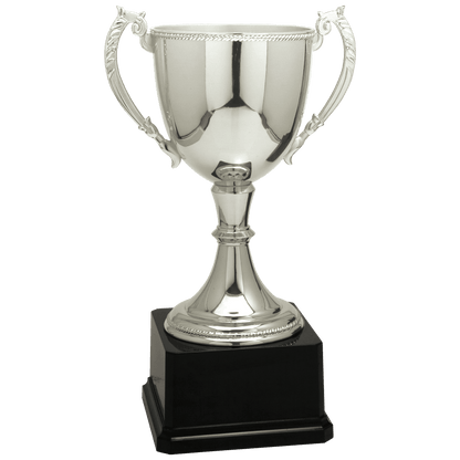 Silver 11" Completed Zinc Cup Trophy