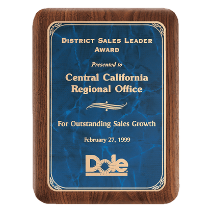 Walnut Plaque with Gold 9" x 12" American Border Sapphire Marble LaserFX Plate