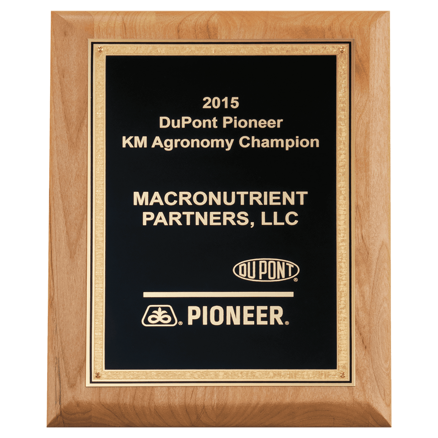 Alder Wood Plaque with Black Textured Gold 8" x 10" Natural Florentine Bordered LaserFX Plate