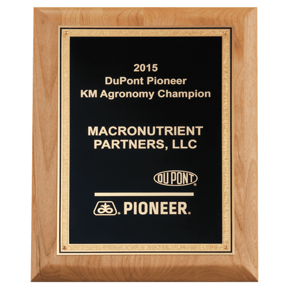 Alder Wood Plaque with Black Textured Gold 8" x 10" Natural Florentine Bordered LaserFX Plate