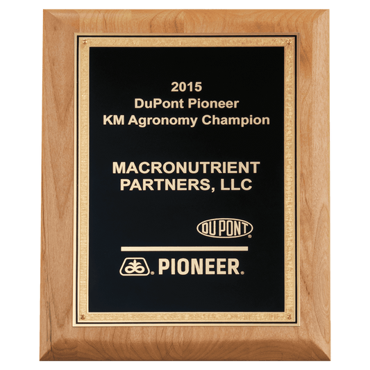Alder Wood Plaque with Black Textured Gold 8" x 10" Natural Florentine Bordered LaserFX Plate