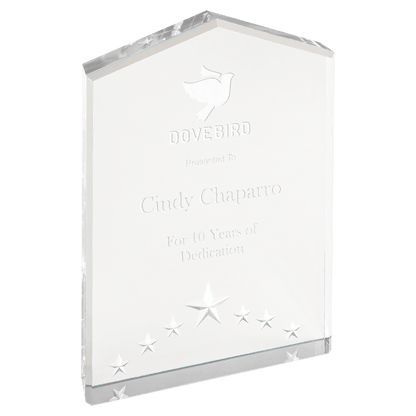 Silver 7" Star Point Acrylic