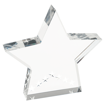 Silver 5" Star Performer Acrylic