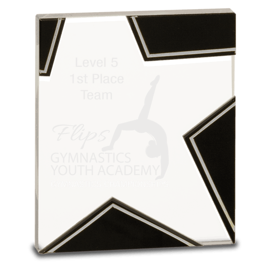 6 3/4" Silver and Black Star Glass