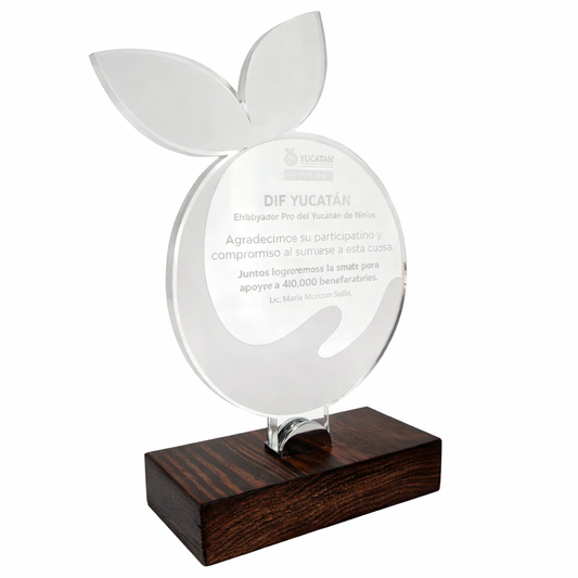 RME410. Premio de Acrílico Silueta Personalizada