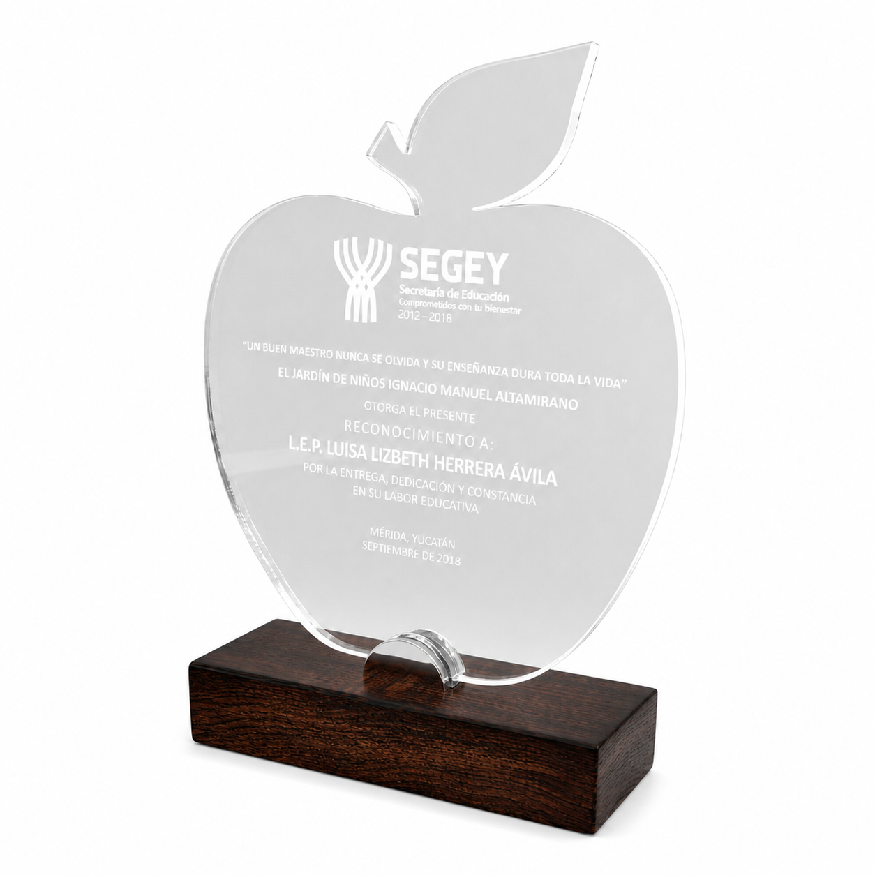 RME410. Premio de Acrílico Silueta Personalizada