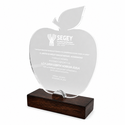 RME410. Premio de Acrílico Silueta Personalizada
