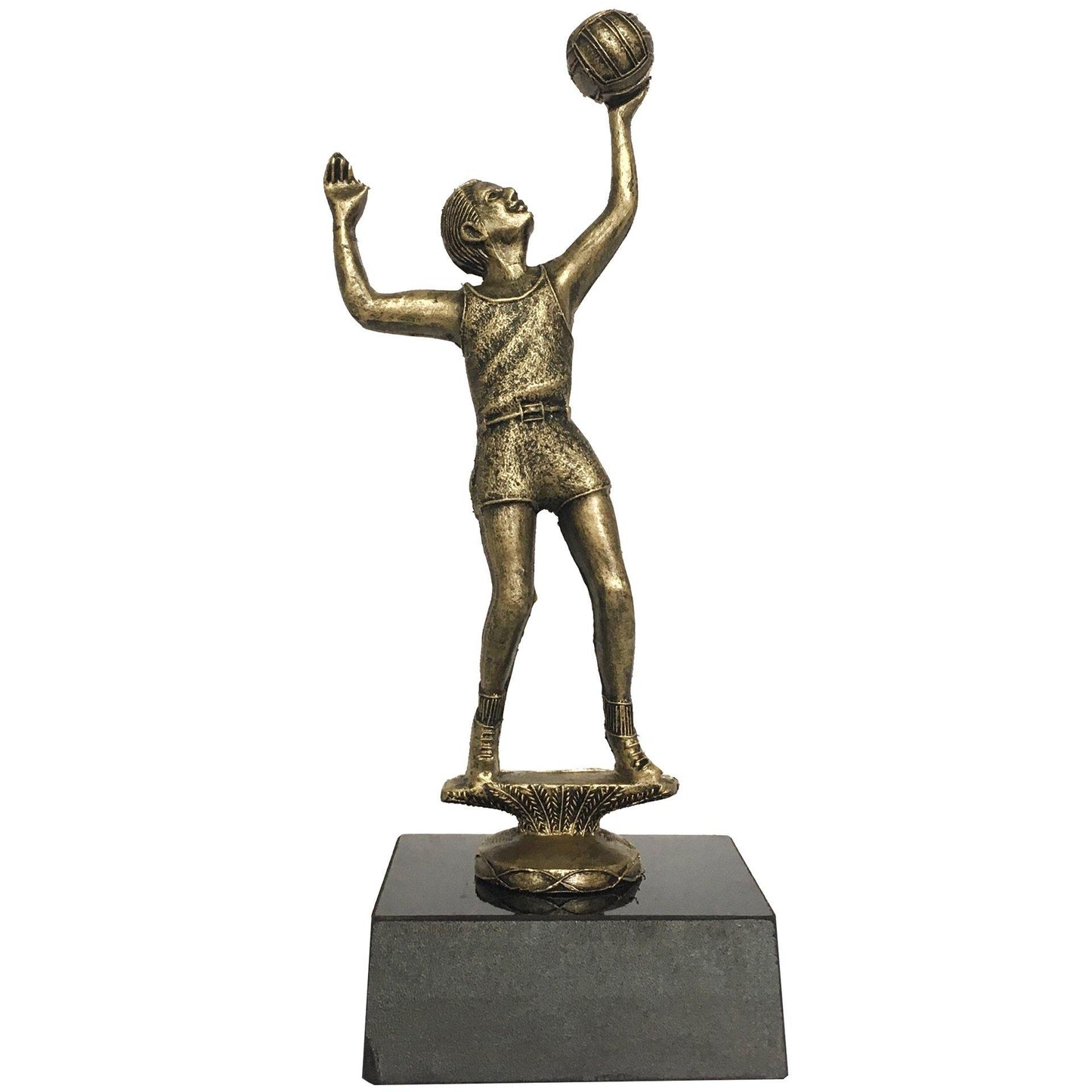 trofeo de voleibol