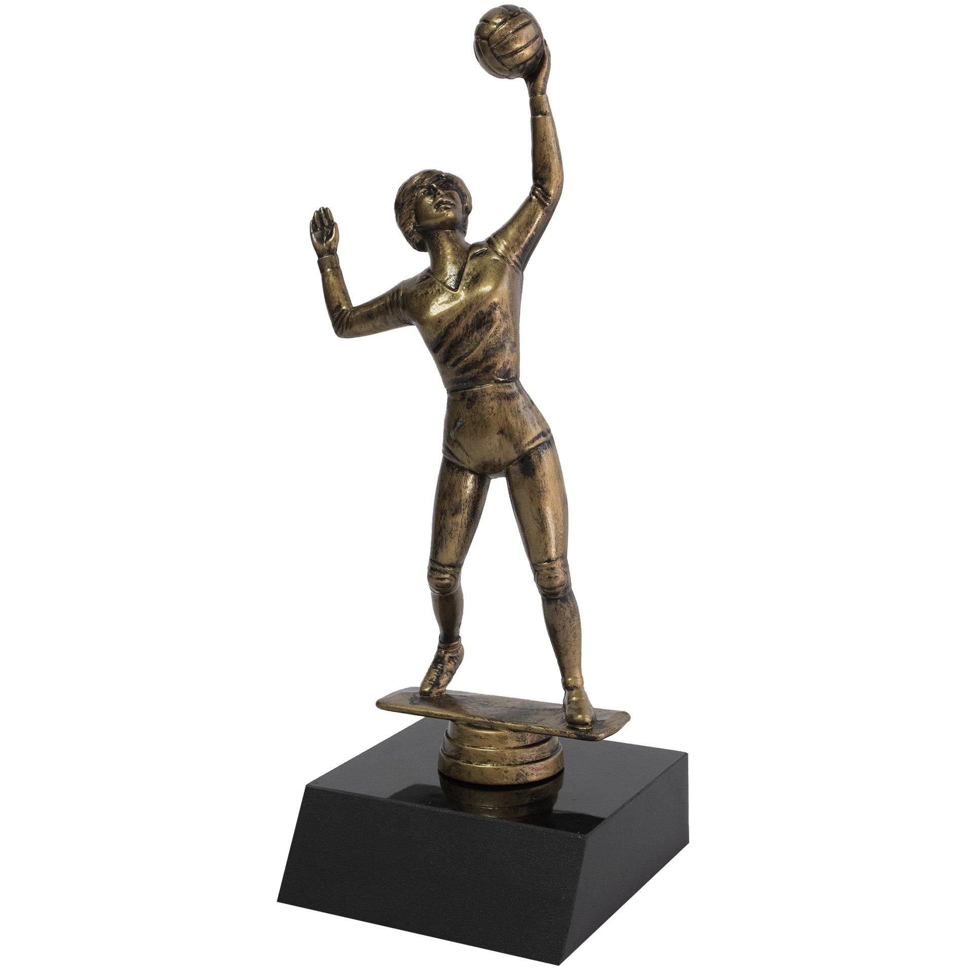 trofeo de voleibol
